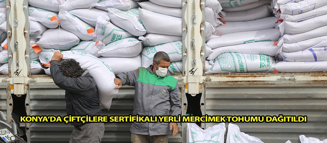 Konya’da çiftçilere sertifikalı yerli mercimek tohumu dağıtıldı