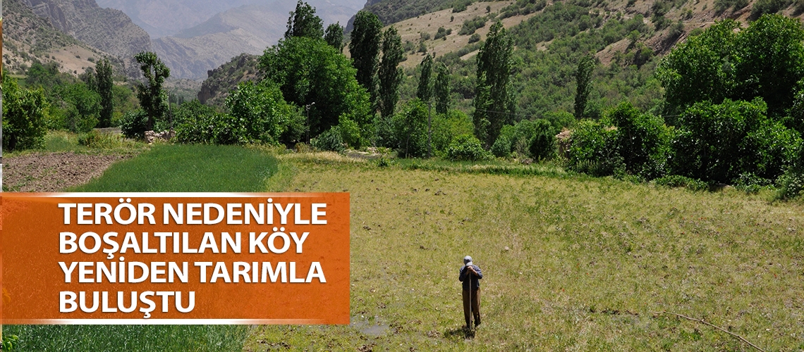 Terör nedeniyle boşaltılan köy yeniden tarımla buluştu