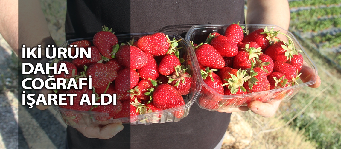 İki ürün daha coğrafi işaret aldı