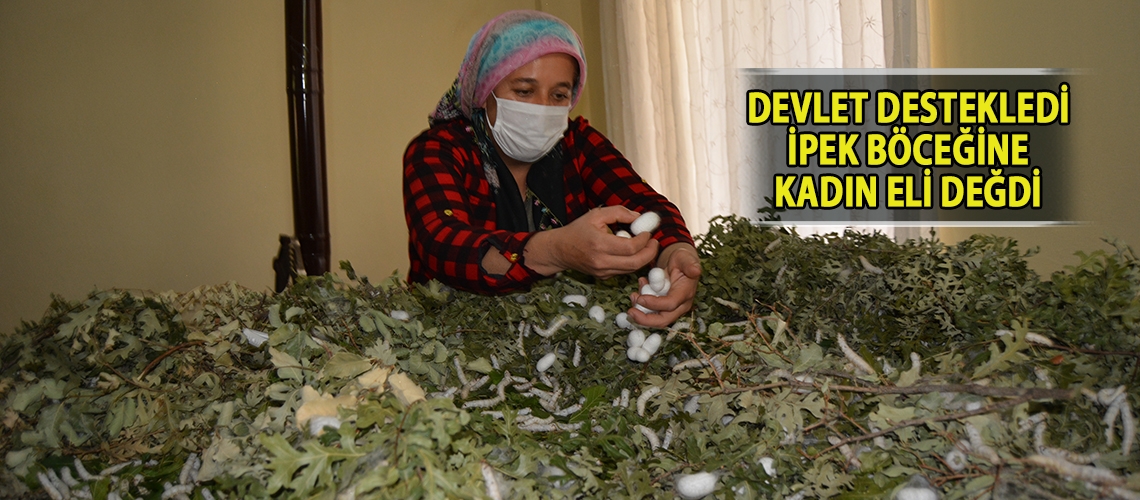 Devlet destekledi ipek böceğine kadın eli değdi