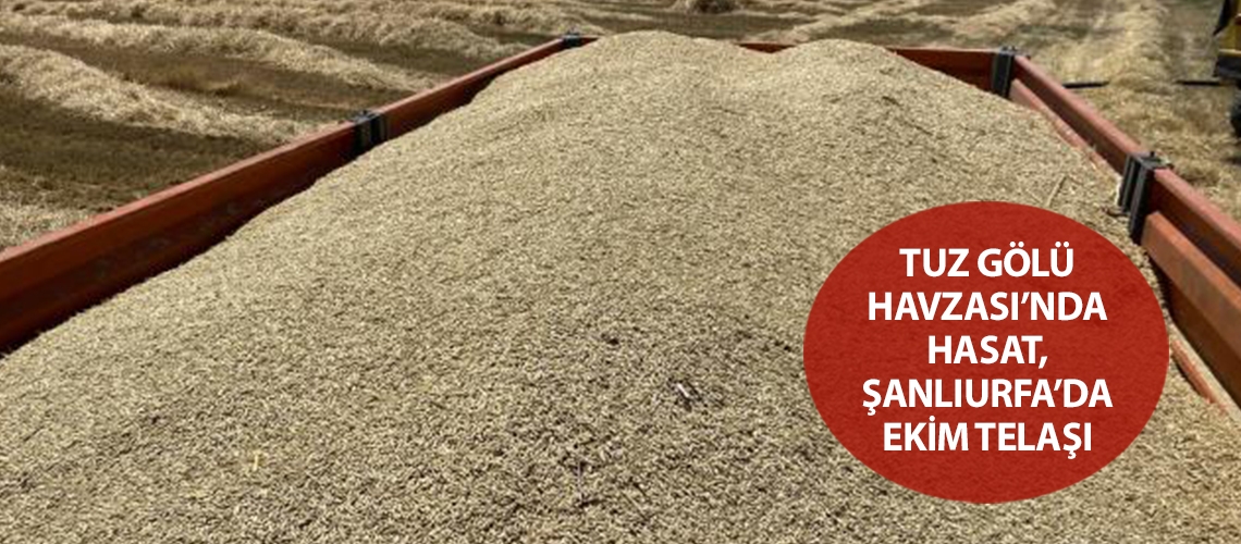 Tuz Gölü Havzası’nda hasat, Şanlıurfa’da ekim telaşı