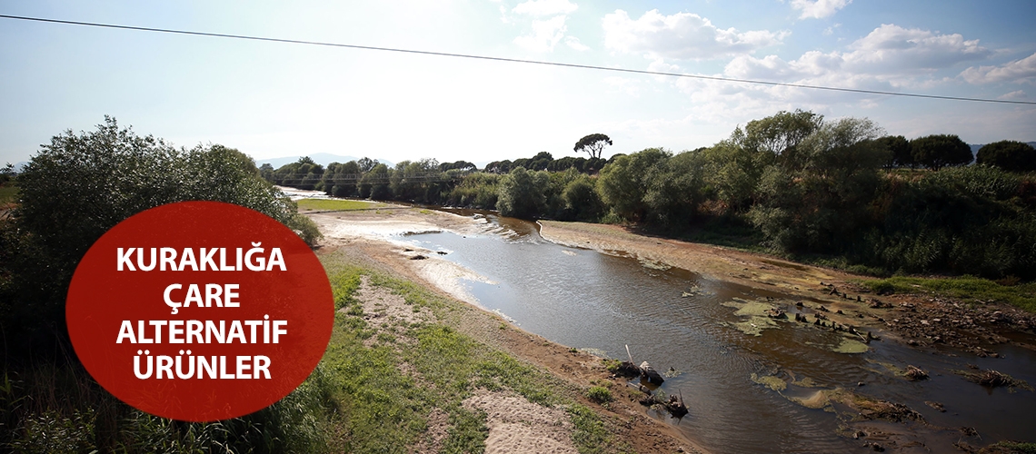 Kuraklığa çare alternatif ürünler