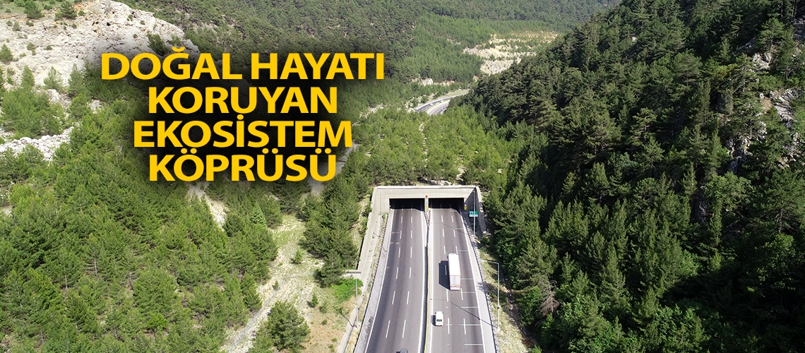 Doğal hayatı koruyan ekosistem köprüsü