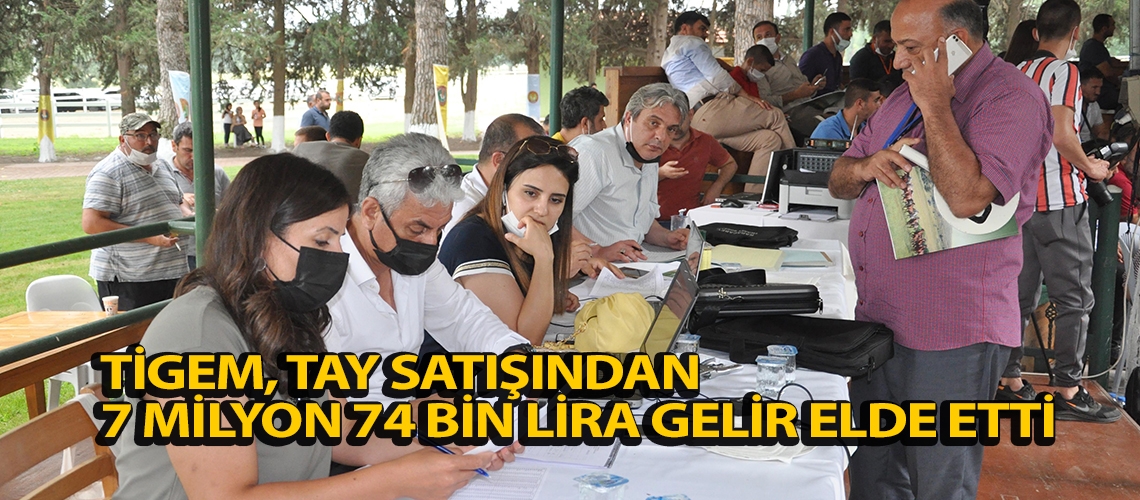 TİGEM, tay satışından 7 milyon 74 bin lira gelir elde etti