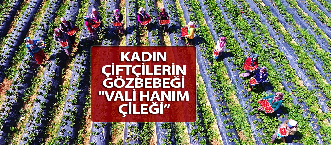 Kadın çiftçilerin gözbebeği 