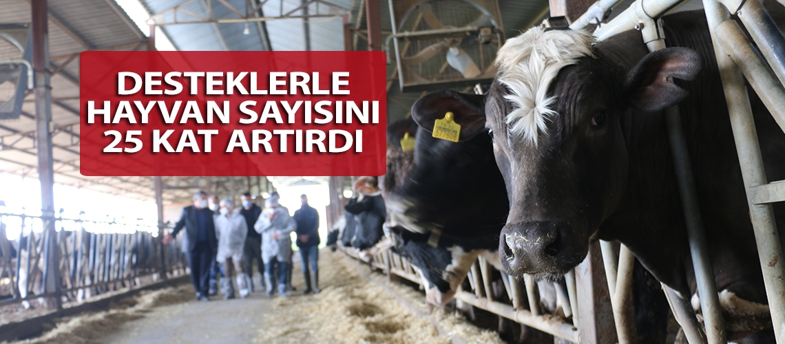 Desteklerle hayvan sayısını 25 kat artırdı