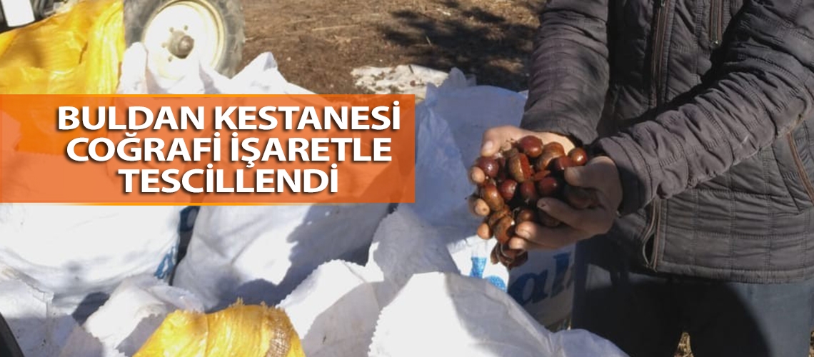 Buldan kestanesi coğrafi işaretle tescillendi
