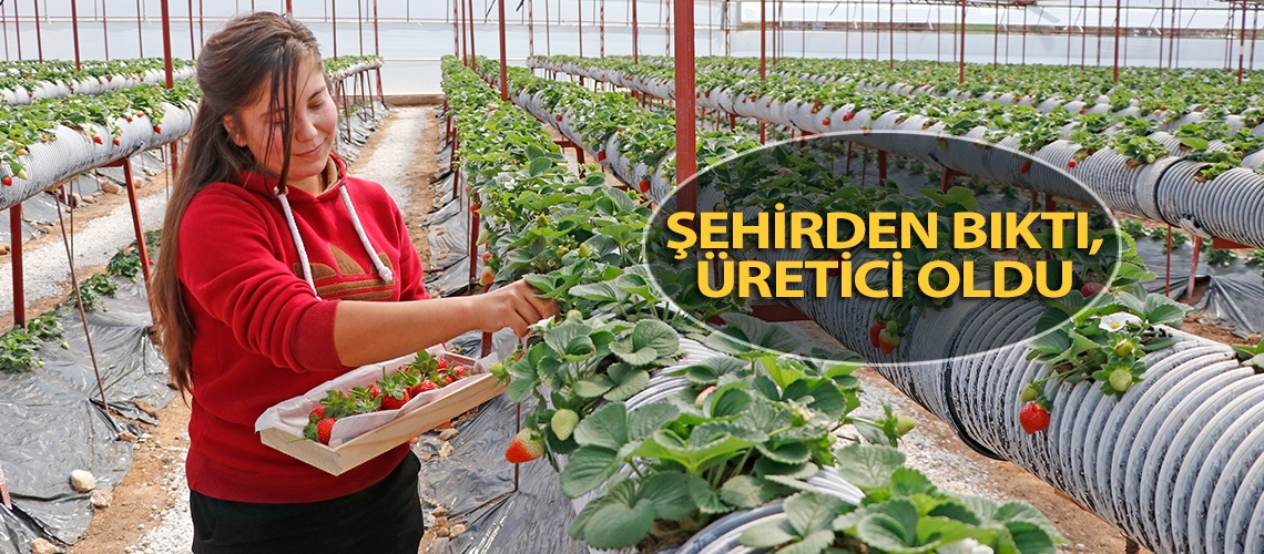 Şehirden bıktı, üretici oldu