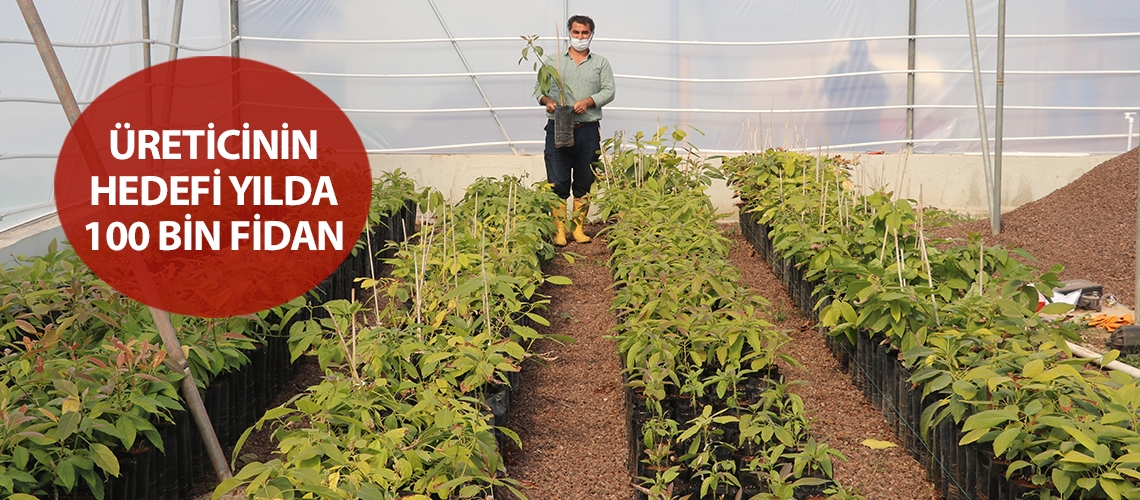 Üreticinin hedefi yılda 100 bin fidan