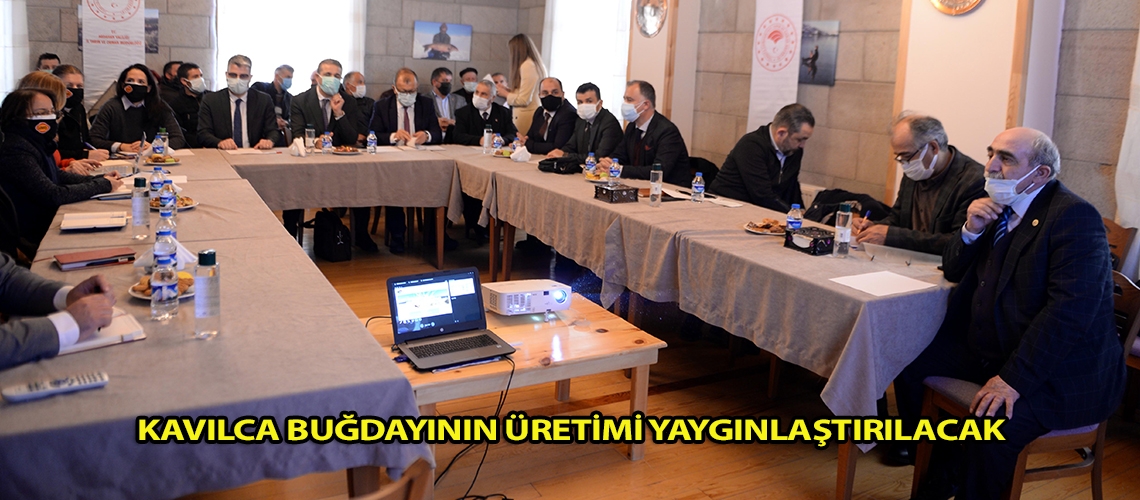 Kavılca buğdayının üretimi yaygınlaştırılacak