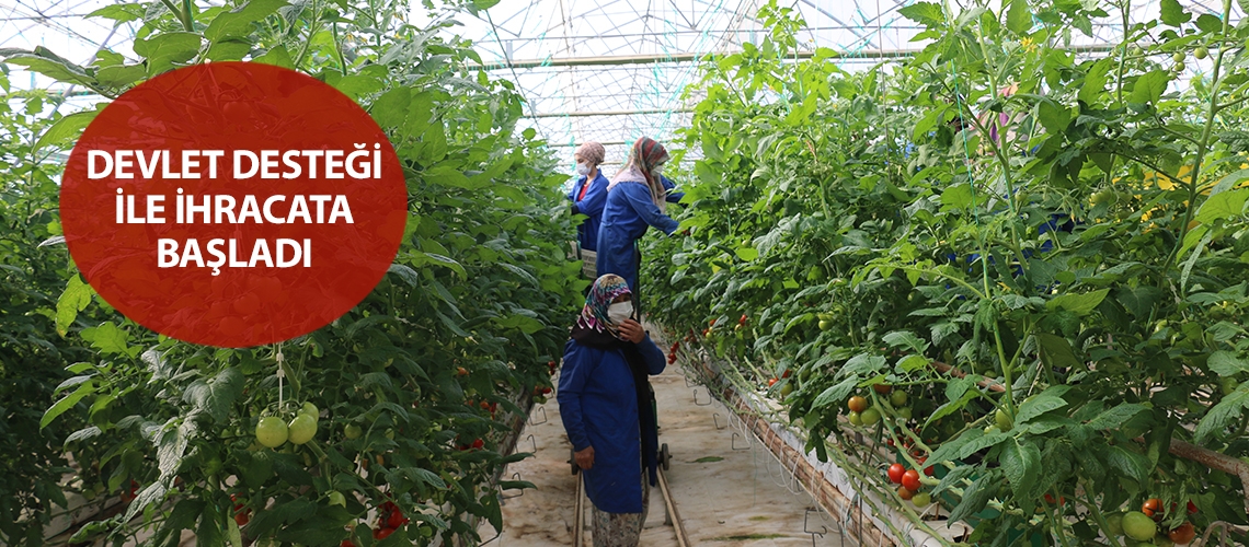 Devlet desteği ile ihracata başladı