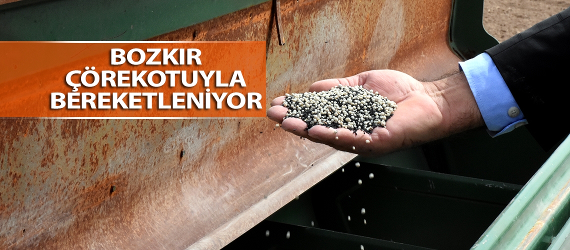 Bozkır çörekotuyla bereketleniyor