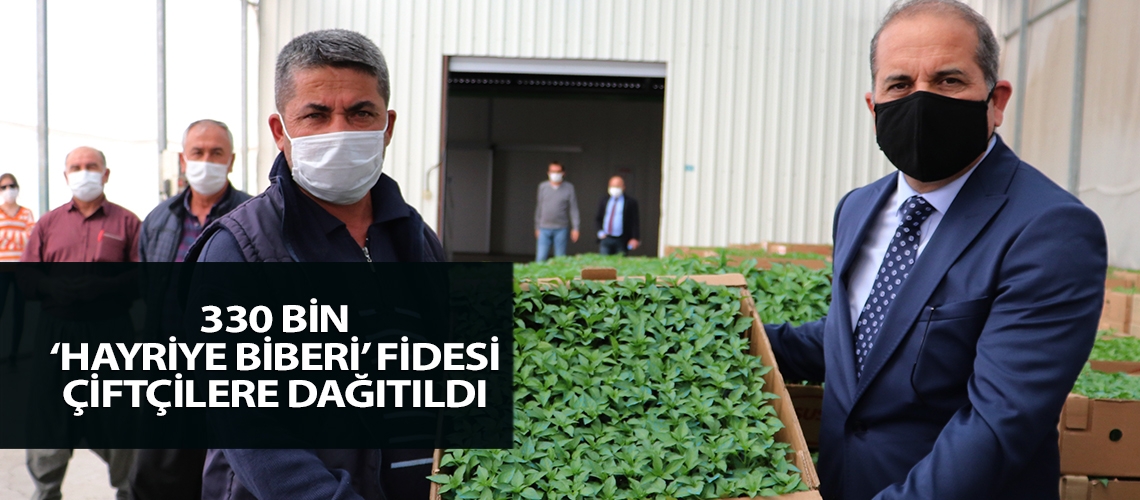 330 bin ‘Hayriye Biberi’ fidesi çiftçilere dağıtıldı