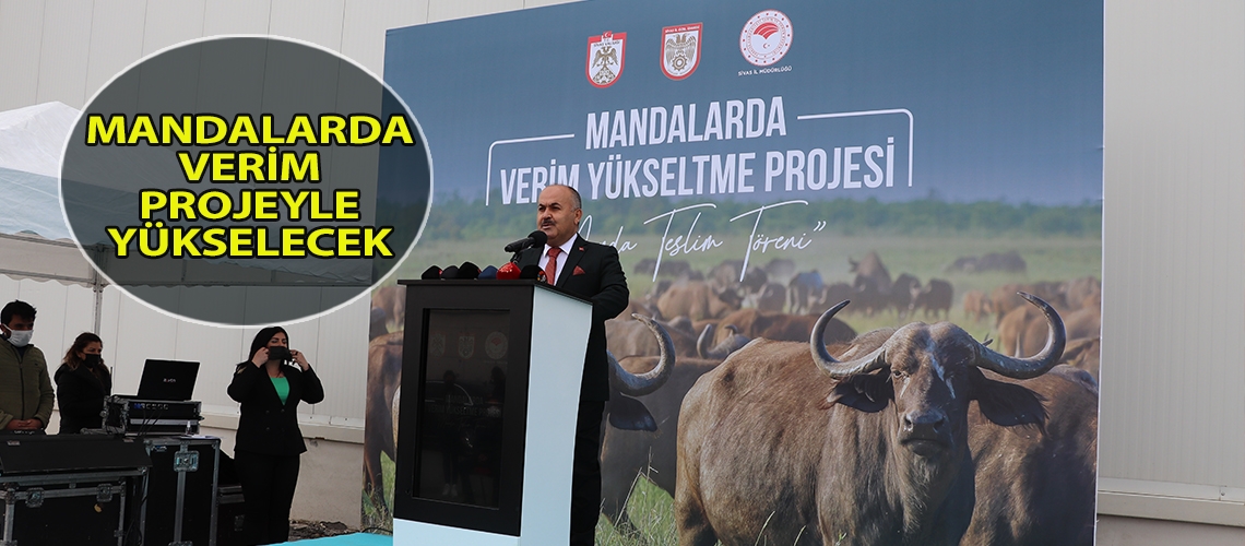 Mandalarda verim projeyle yükselecek