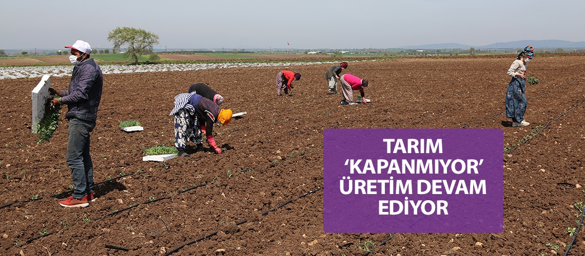 Tarım ‘kapanmıyor’ üretim devam ediyor
