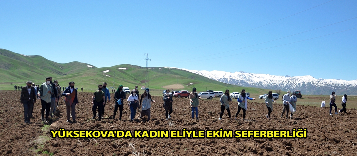 Yüksekova'da kadın eliyle ekim seferberliği