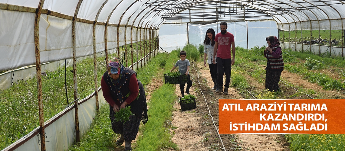 Atıl araziyi tarıma kazandırdı, istihdam sağladı