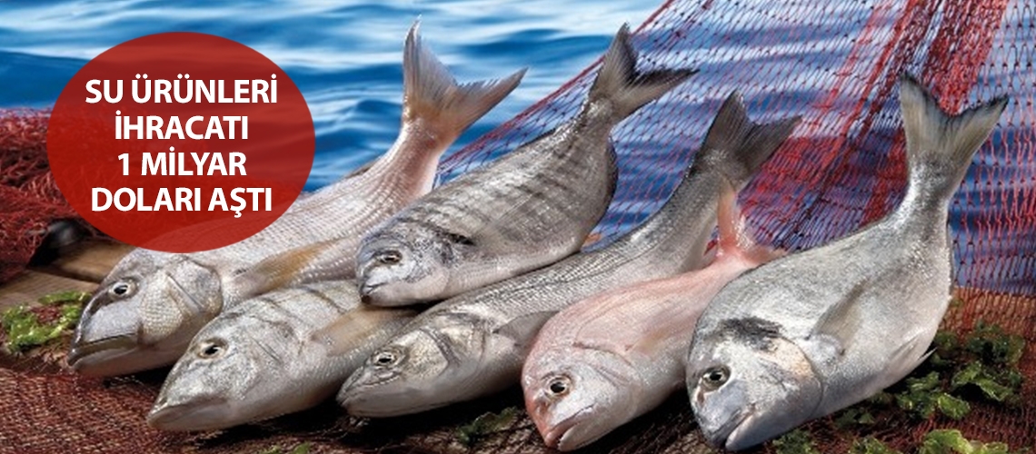 Su ürünleri ihracatı 1 milyar doları aştı