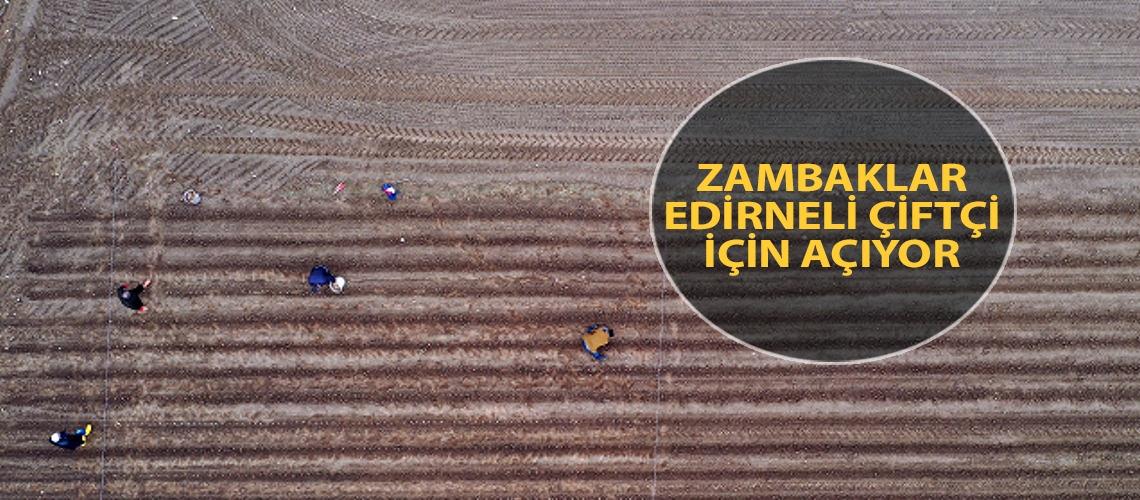 Zambaklar Edirneli çiftçi için açıyor