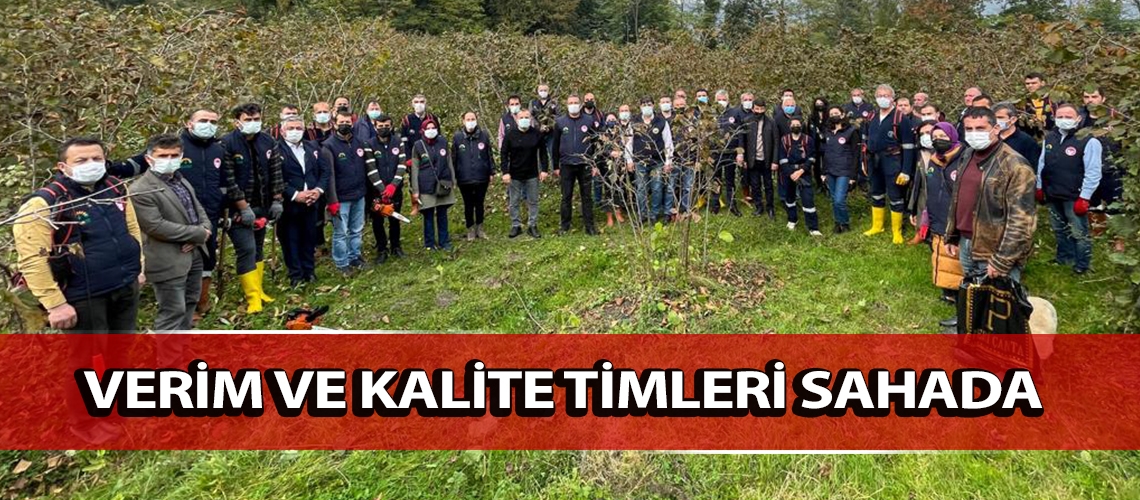 Verim ve kalite timleri sahada