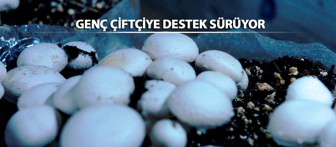 Kahramanmaraş’ta aldığı destekle hayaline kavuştu