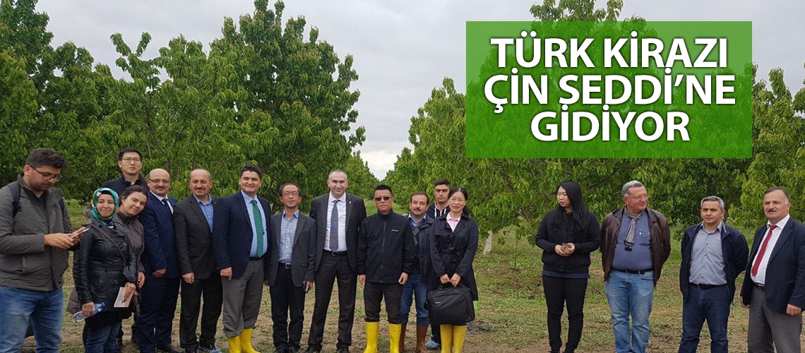 Türk kirazı ilk kez Çin’e ihraç ediliyor
