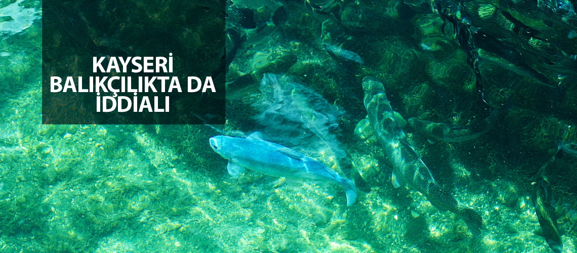 Bozkırın Ortasında Bir Balık Şehri