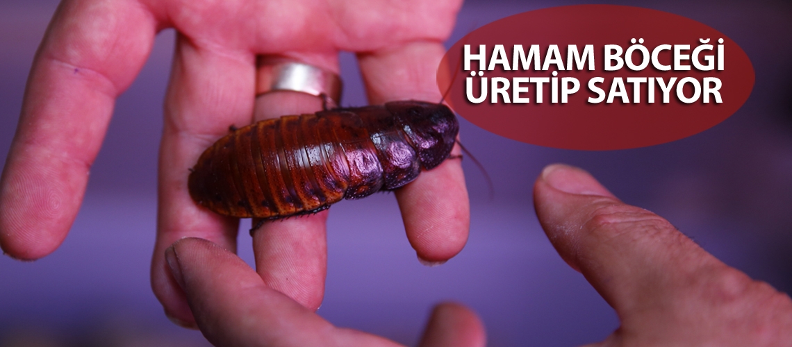 Böceklere Avrupa’dan da talep var