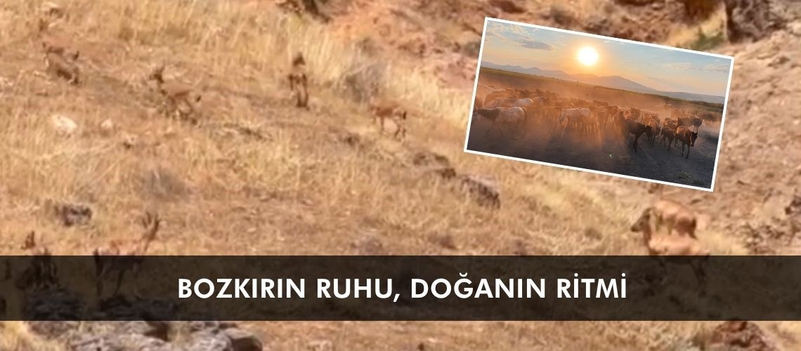 Bozkırın ruhu, doğanın ritmi