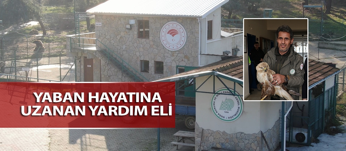 Yaban hayatına uzanan yardım eli