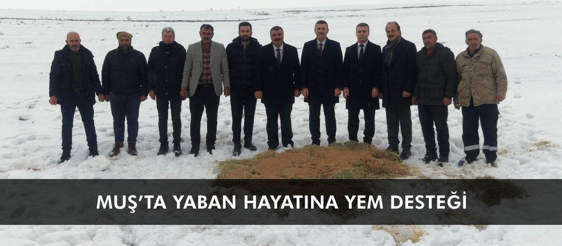 Muş’ta yaban hayatına yem desteği
