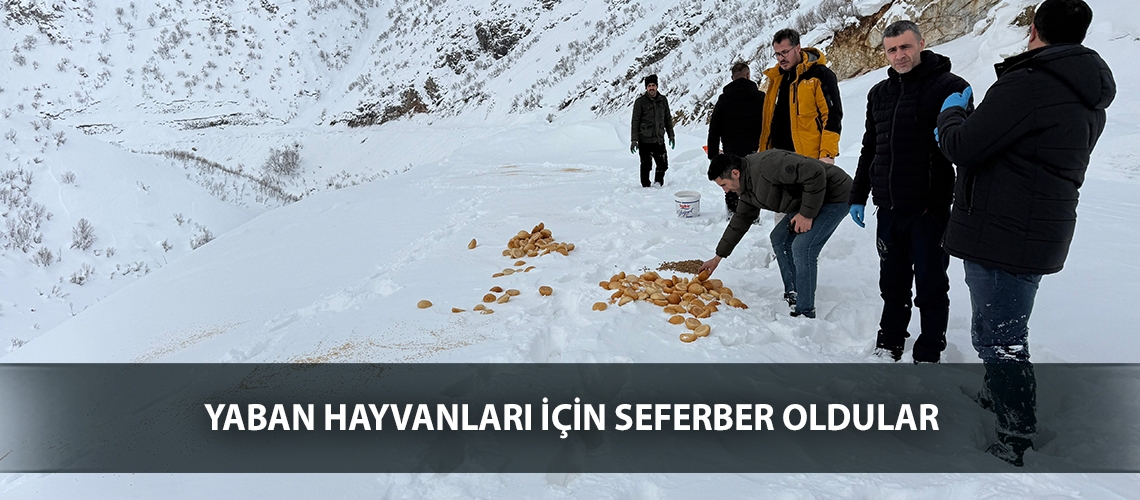 Yaban hayvanları için seferber oldular