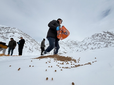 Yaban hayvanları için seferber oldular