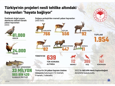 Nesli tehlikedeki canlılar için çalışmalar sürüyor