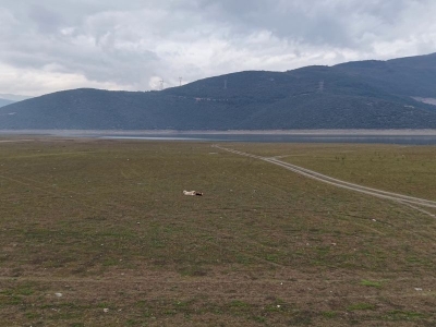 Hububatta gözler yeni dönem yağışlarında