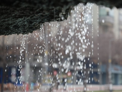 Son yağışlar tarıma olumlu yansıdı