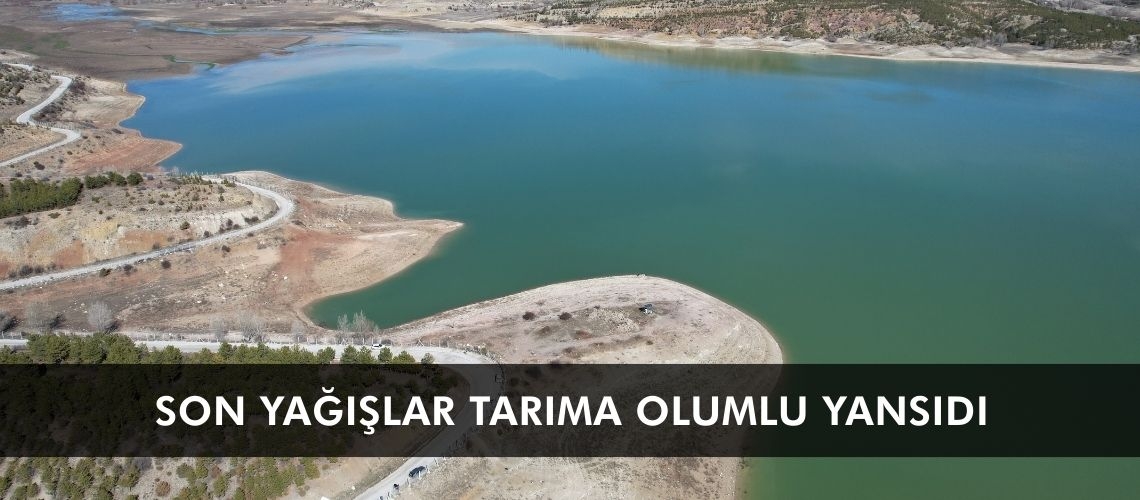 Son yağışlar tarıma olumlu yansıdı