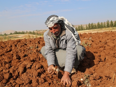 Şanlıurfalı çiftçiler tahıl ekimi için yağışları bekliyor