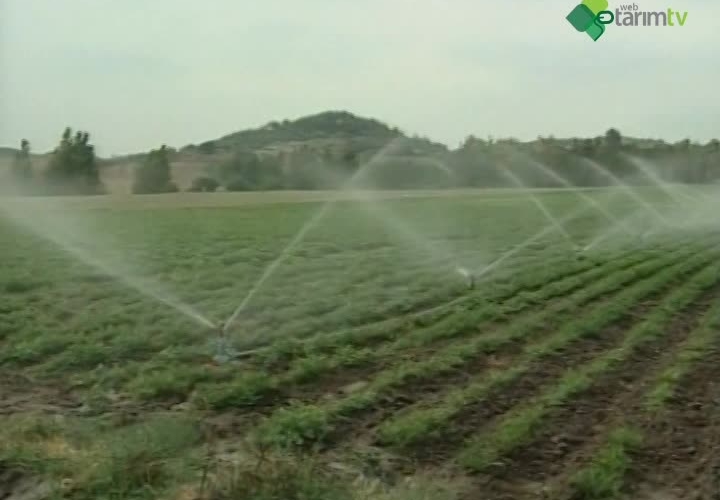 Yağmurlama Sulama Yöntemi
