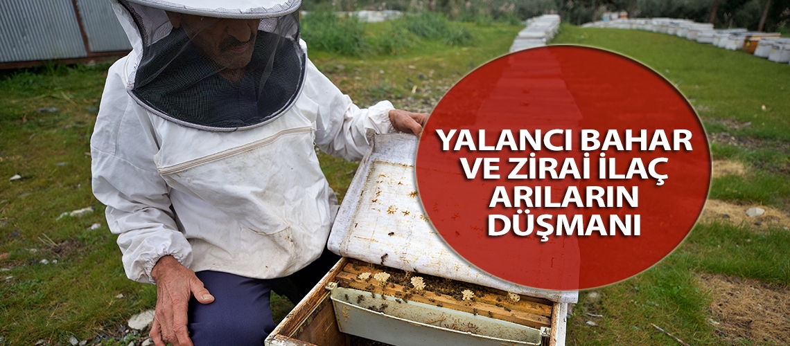 Yalancı bahar ve zirai ilaç arıların düşmanı