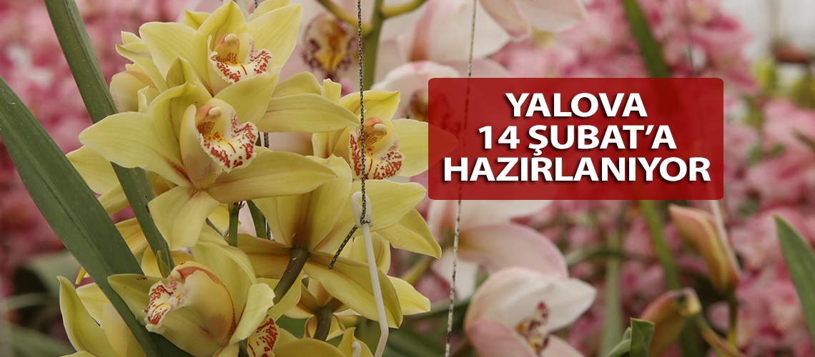 Yalova 14 Şubat’a hazırlanıyor