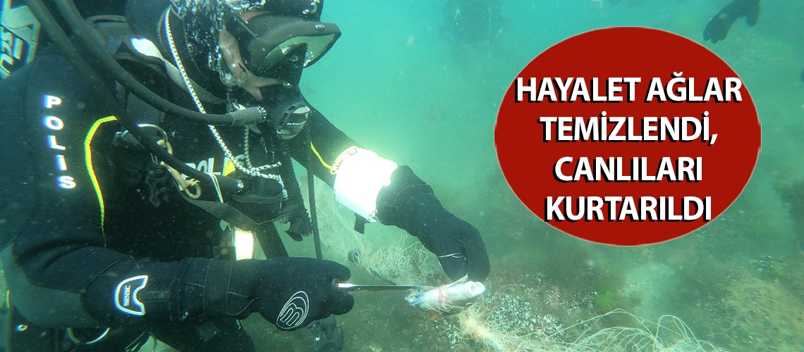 Hayalet ağlar temizlendi, canlıları kurtarıldı