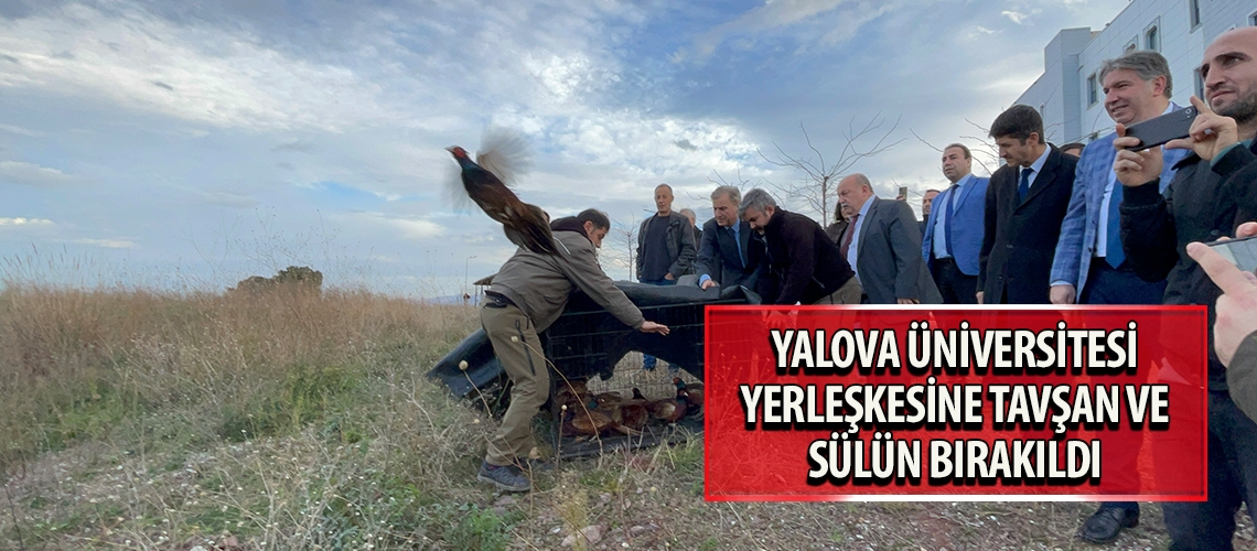 Yalova Üniversitesi yerleşkesine tavşan ve sülün bırakıldı