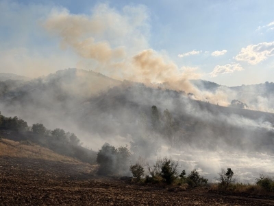 Çorum'da ormanlık alana sıçrayan yangın söndürüldü