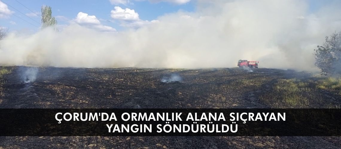 Çorum'da ormanlık alana sıçrayan yangın söndürüldü