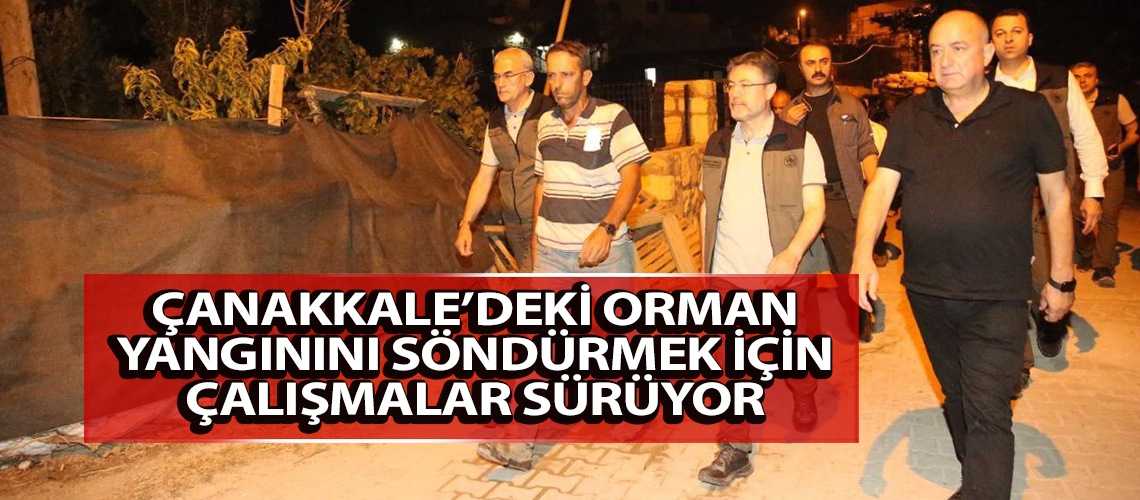 Çanakkale’deki orman yangınını söndürmek için çalışmalar sürüyor