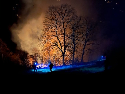 Sakarya'daki orman yangınını söndürme çalışmaları devam ediyor