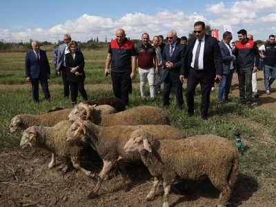Damlama sulama meralarda fark yaratıyor