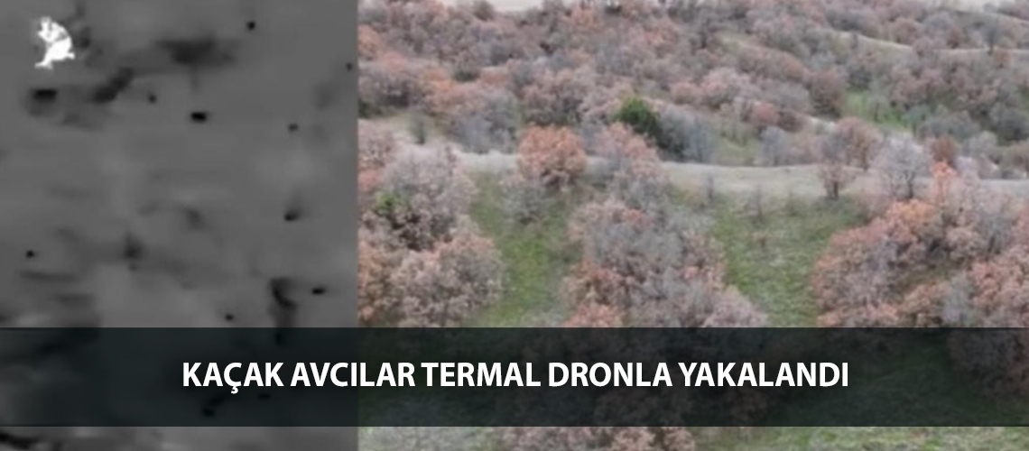Kaçak avcılar termal dronla yakalandı