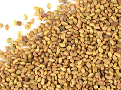 Çiftçilere tohum desteği